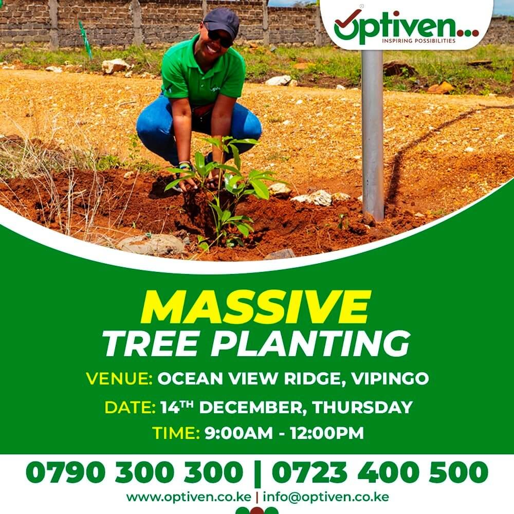 Optiven Announces Massive Tree Planting at Ocean View Ridge Vipingo on December 14, 2023